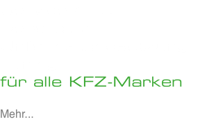 Service / HU Reparatur Unfallinstandsetzung Tuning für alle KFZ-Marken Mehr...